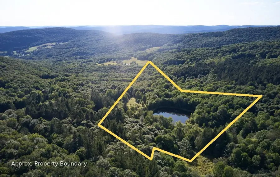 1855 Davis Hollow Road, Andes, NY 13731 - #2