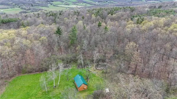 00 Gravel Run Road, Dundee, NY 14837