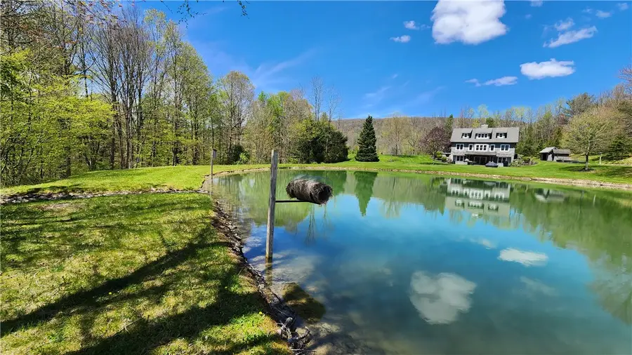 4810 Kirkwood Road, Cohocton, NY 14826 - #2