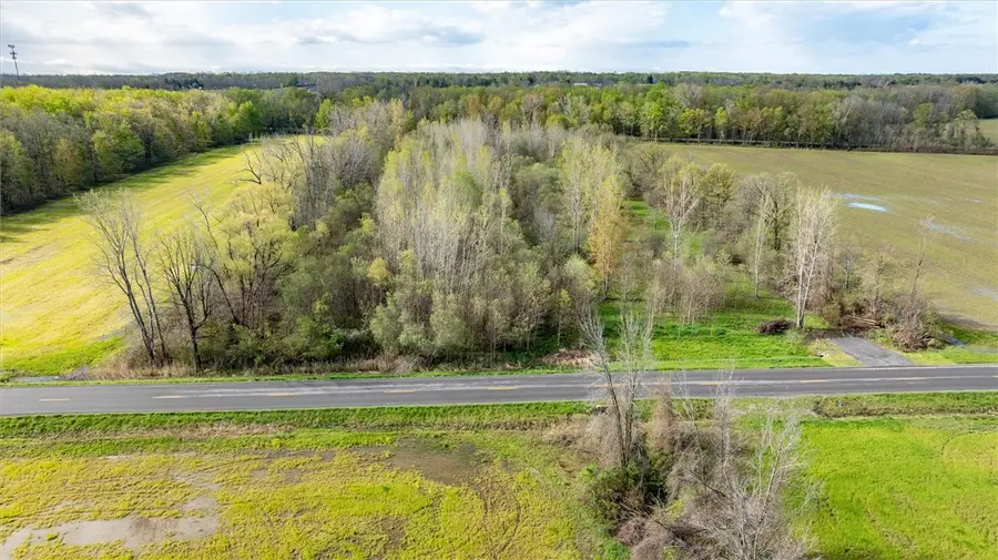 16126 Telegraph Road, Holley, NY 14470 - #3