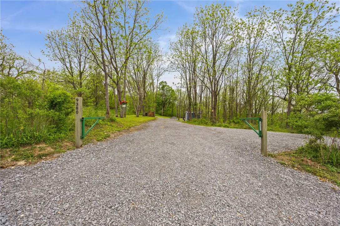 9380 Big Tree Road, Hemlock, NY 14466 - #1