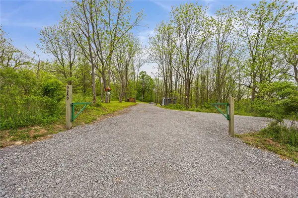 9380 Big Tree Road, Hemlock, NY 14466
