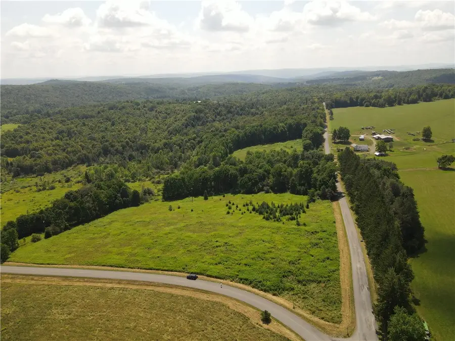 Ramey Road, Pittsfield, NY 13411 - #3