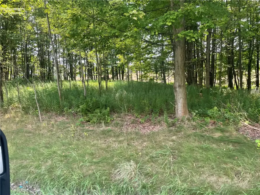 State Highway 206, Masonville, NY 13804 - #2
