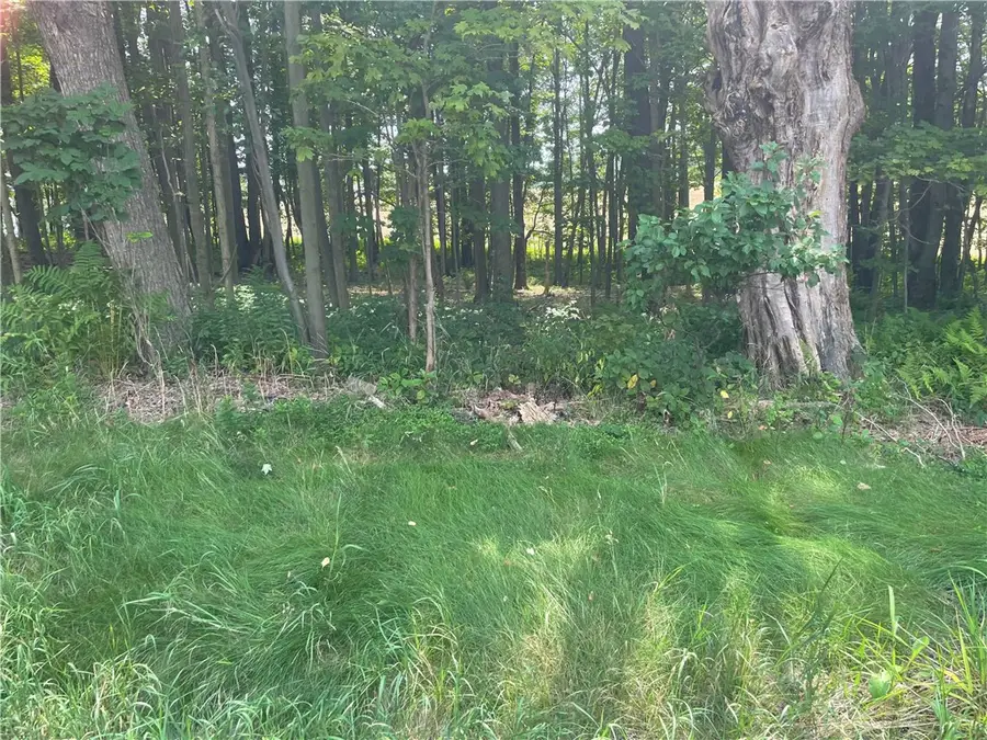State Highway 206, Masonville, NY 13804 - #3