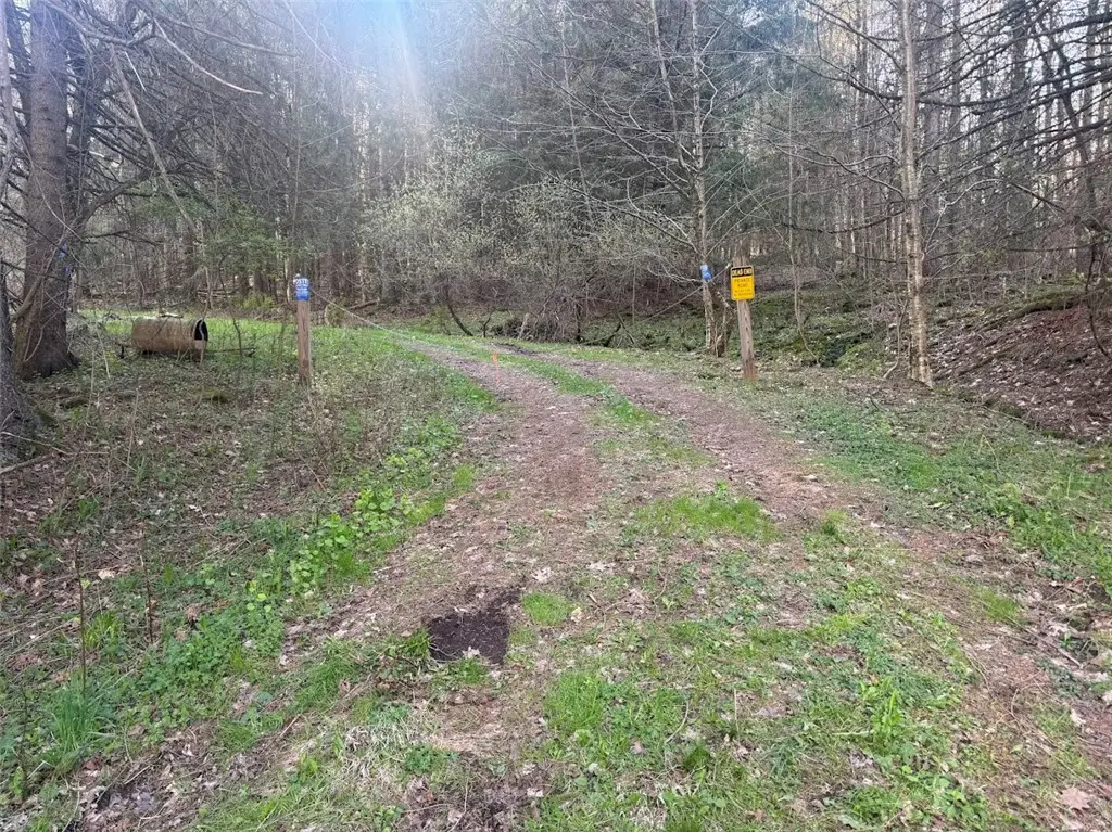 Bramley Mountain Road, Delhi, NY 13753 - #1