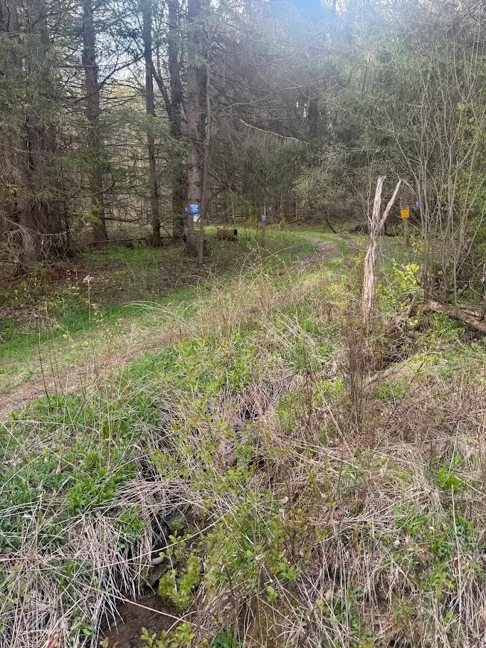 Bramley Mountain Road, Delhi, NY 13753 - #3