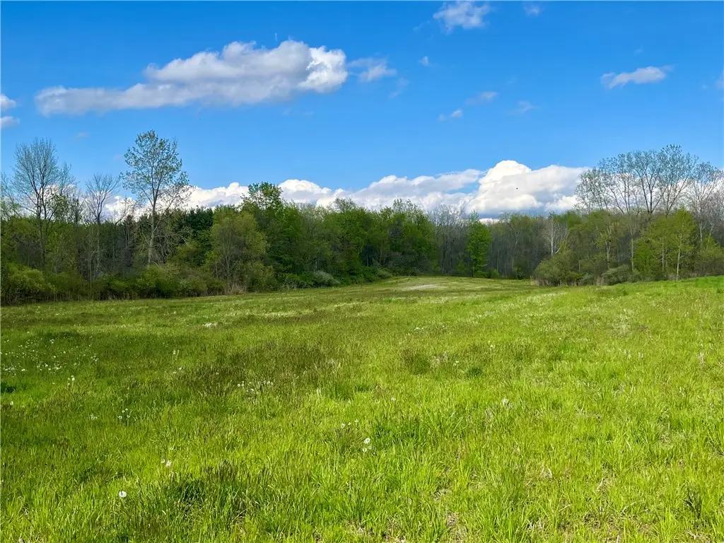 0 Stone/state Route 104 Road, Wolcott, NY 14590 - #1