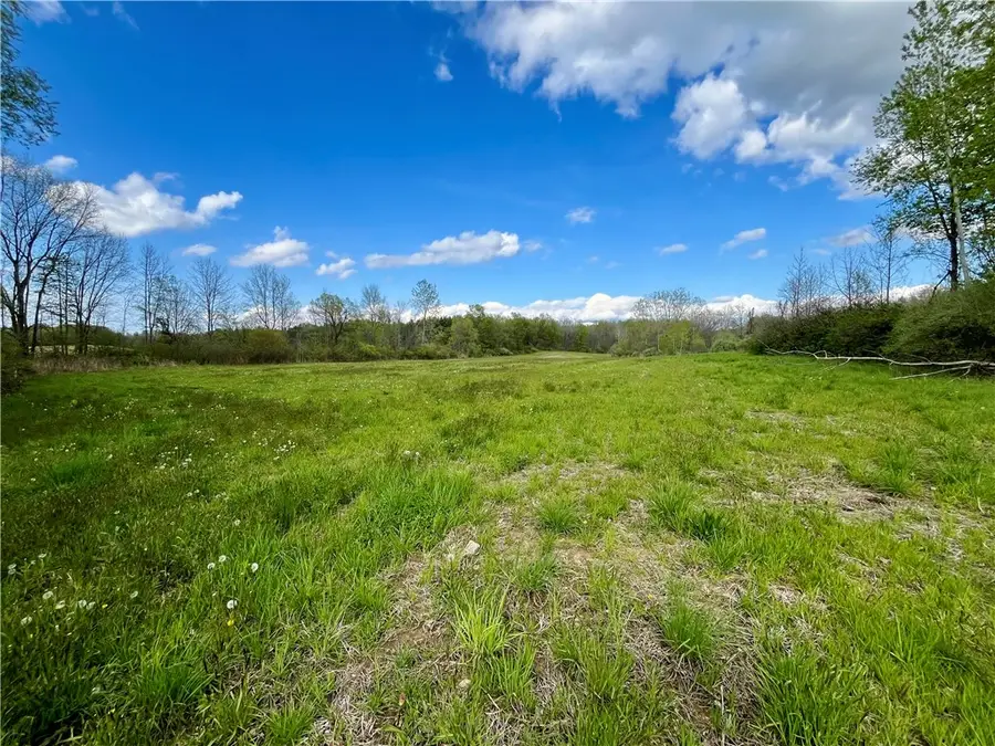 0 Stone/state Route 104 Road, Wolcott, NY 14590 - #2