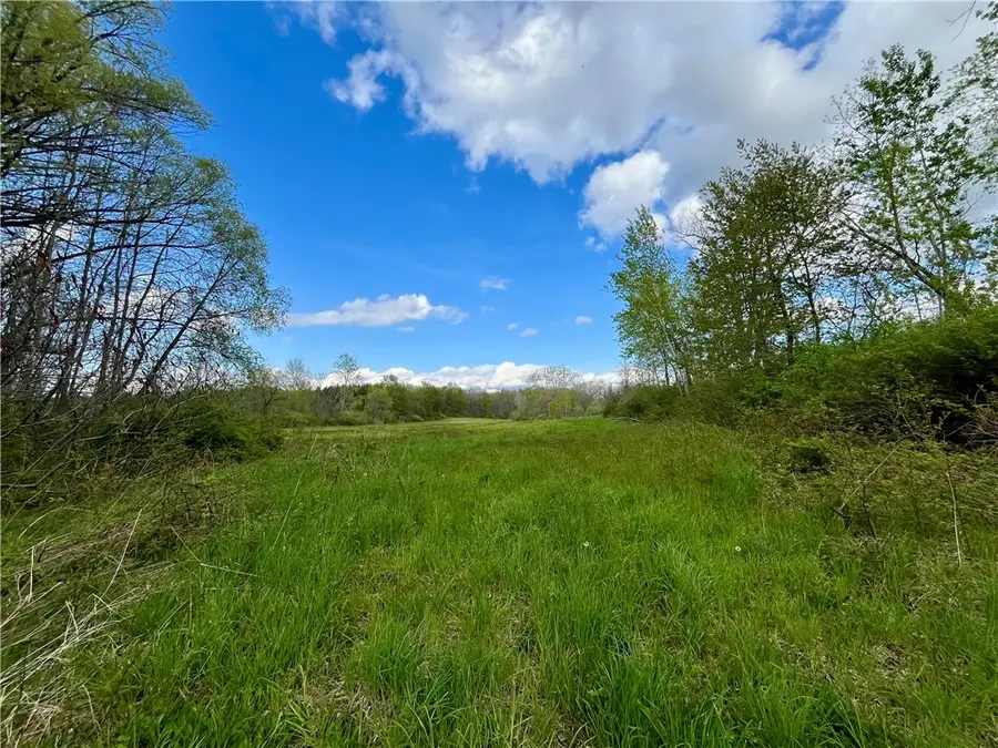 0 Stone/state Route 104 Road, Wolcott, NY 14590 - #3