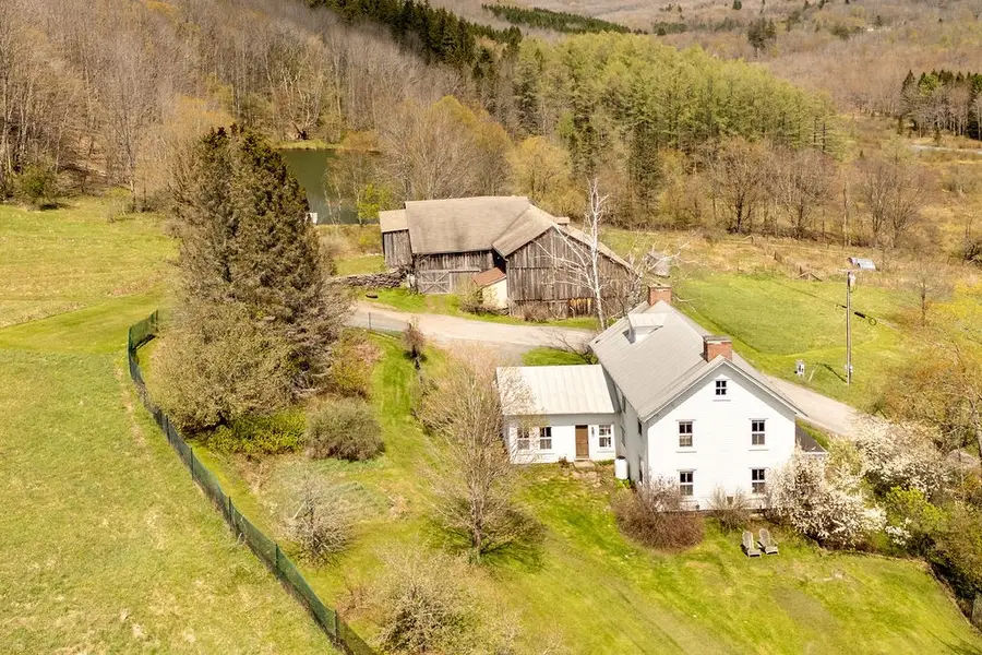 195 Oscar Dougherty Road, Bovina Center, NY 12459 - #3