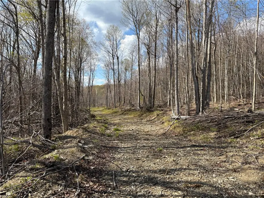 Hollenbeck Road, Worcester, NY 12197 - #2