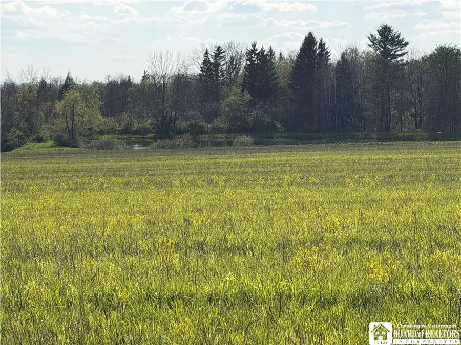 00 Scott Hill - Vl Road, Kennedy, NY 14747 - #3