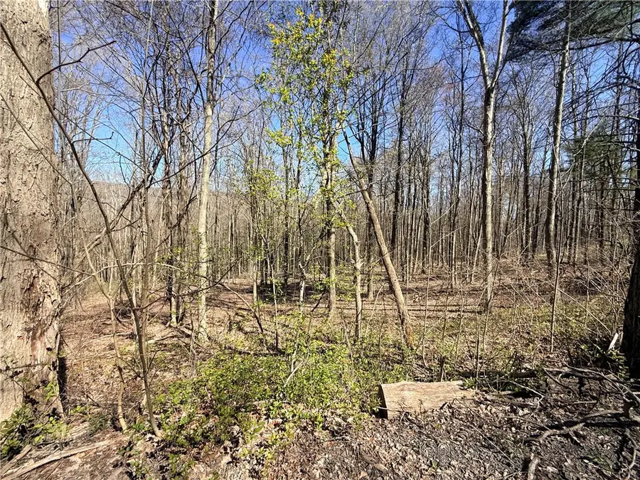 Fitzgerald Road, Burdett, NY 14818 - #3