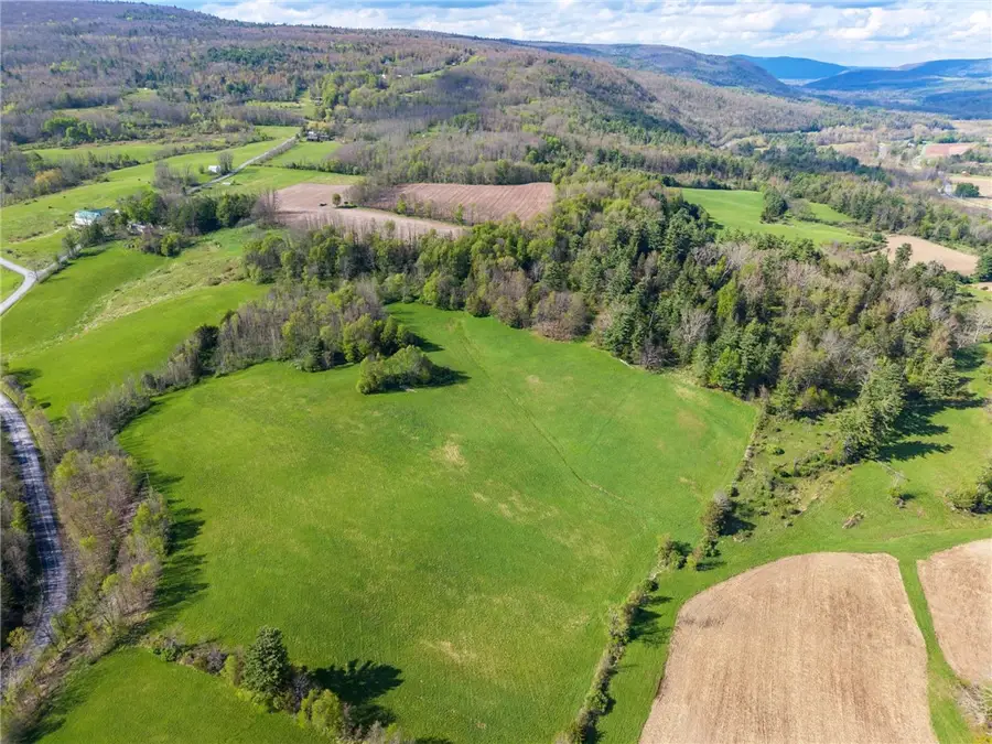 Westkill Road, North Blenheim, NY 12093 - #2
