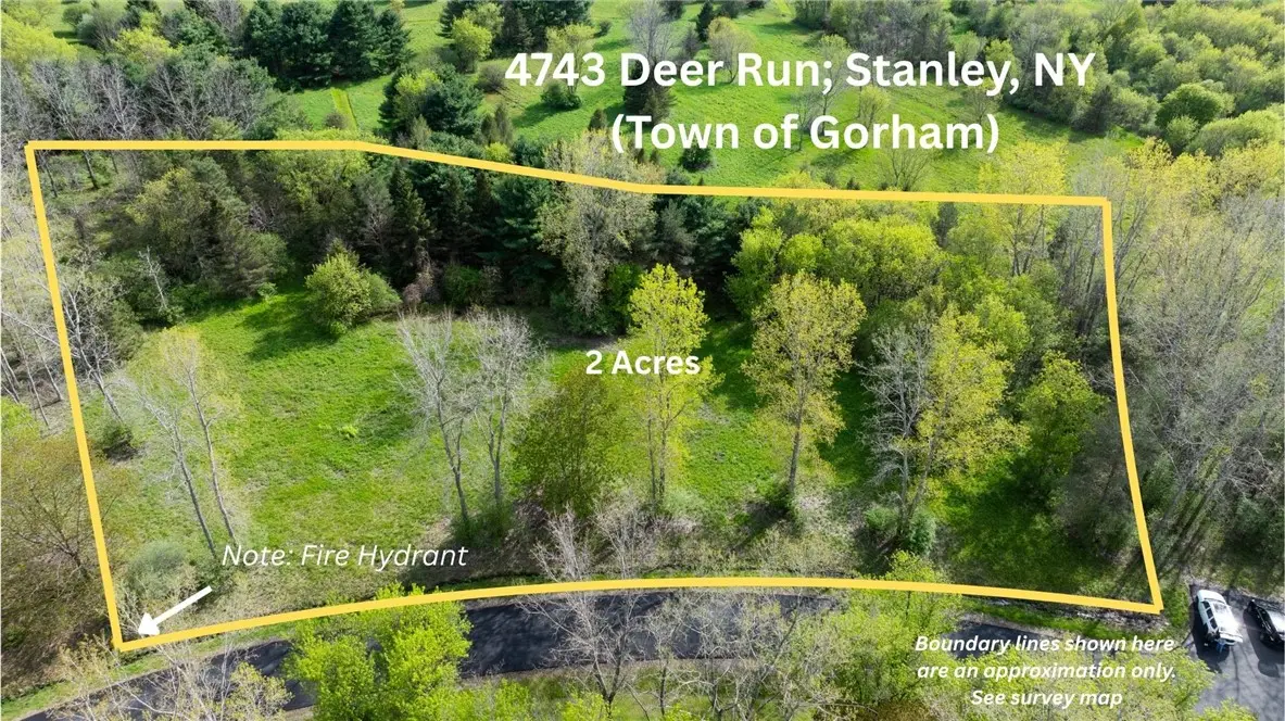 4743 Deer Run, Stanley, NY 14561 - #1