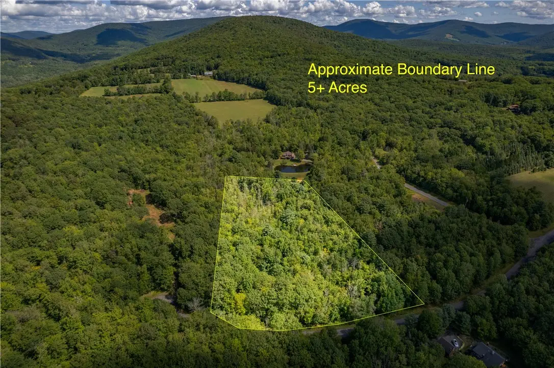 Joe Todd Road, Fleischmanns, NY 12430 - #1