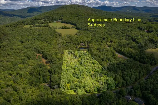 Joe Todd Road, Fleischmanns, NY 12430
