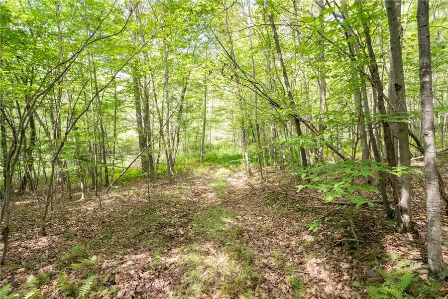 Joe Todd Road, Fleischmanns, NY 12430 - #3