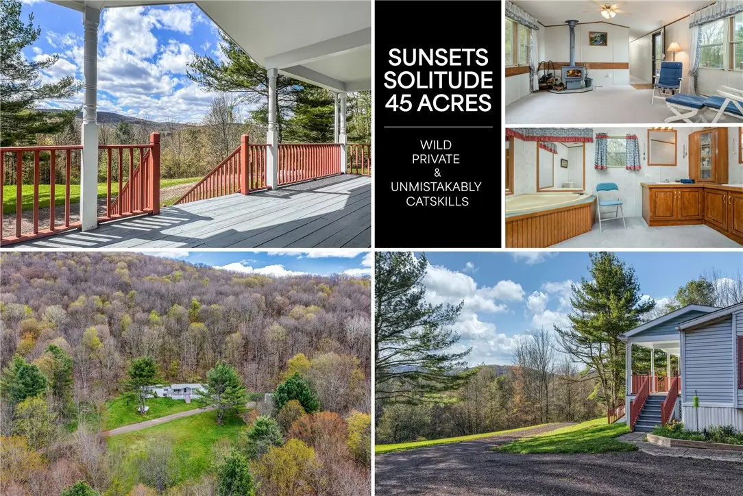 1264 Betty Brook Road, South Kortright, NY 13842 - #1