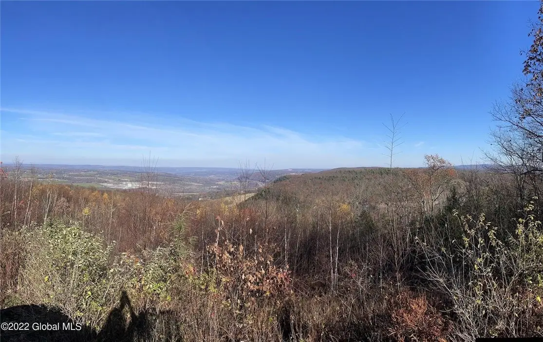 L26 & L27 Ecker Hollow Road, Cobleskill, NY 12157 - #1