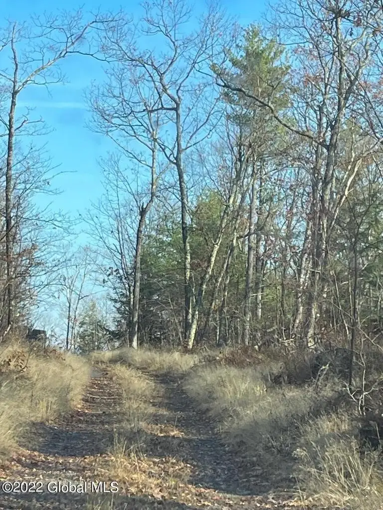 L26 & L27 Ecker Hollow Road, Cobleskill, NY 12157 - #3