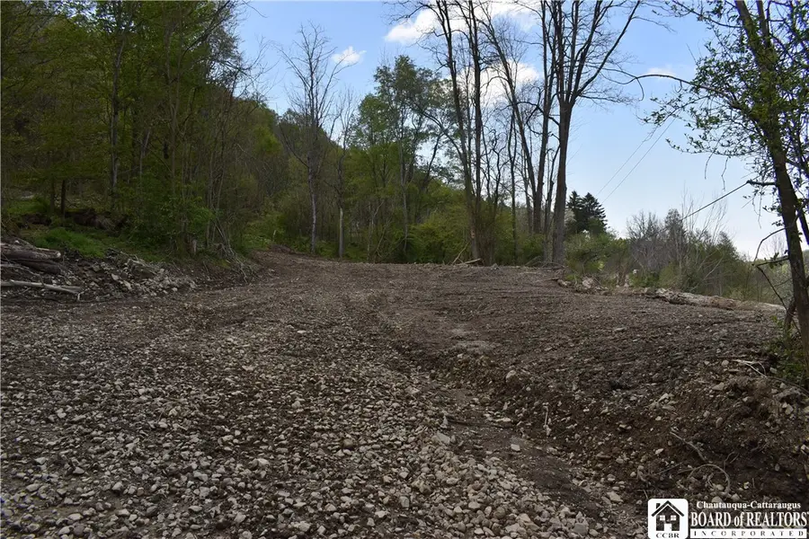 Farrington Hollow Road, Cherry Creek, NY 14723 - #3