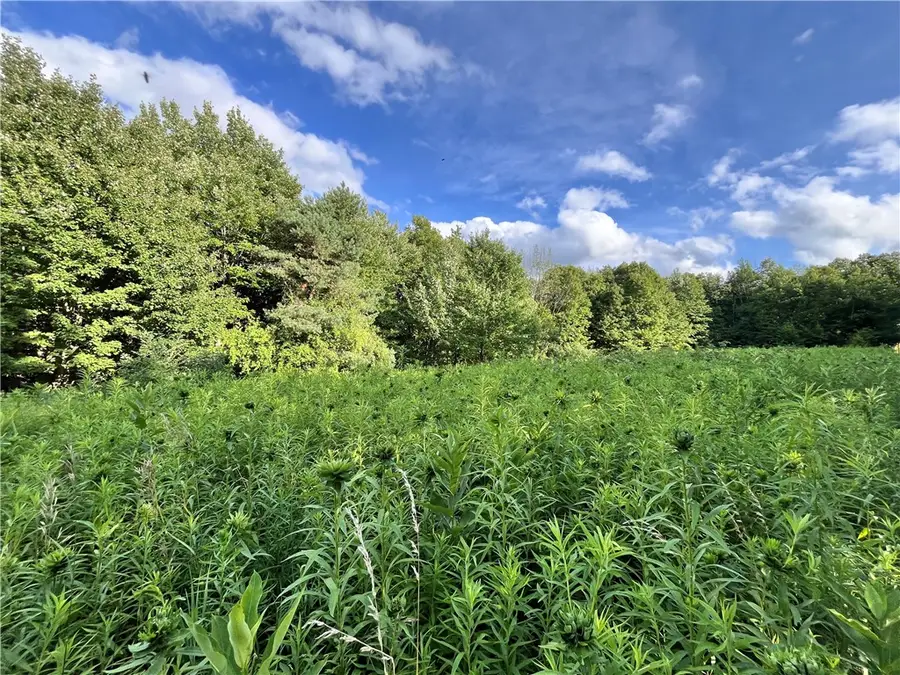 Greenbush Road, Erin, NY 14838 - #2