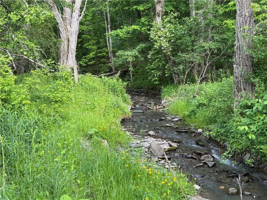 154 Westville Gulf Road, Schenevus, NY 12155 - #2
