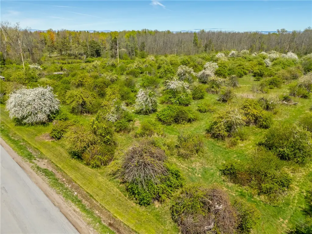 0 Pratt Road, Sodus, NY 14551 - #1