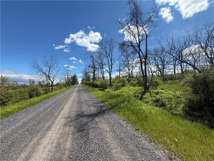 Tucker Road, Trumansburg, NY 14886 - #2