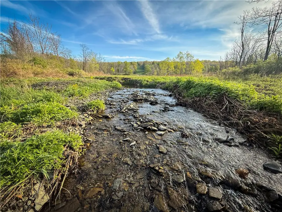 Rt-414, Watkins Glen, NY 14891 - #2