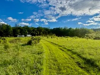 Ridgeview Road, Plymouth, NY 13832 - #3