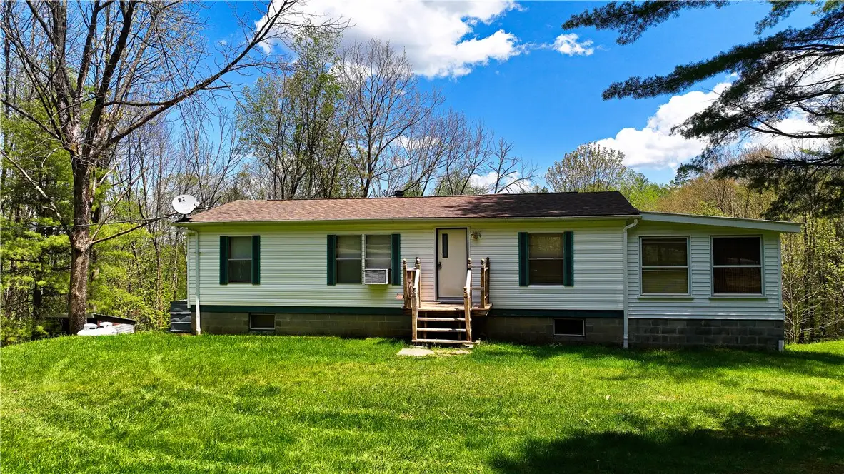 480 Buckley Hill Road, Afton, NY 13730 - #1