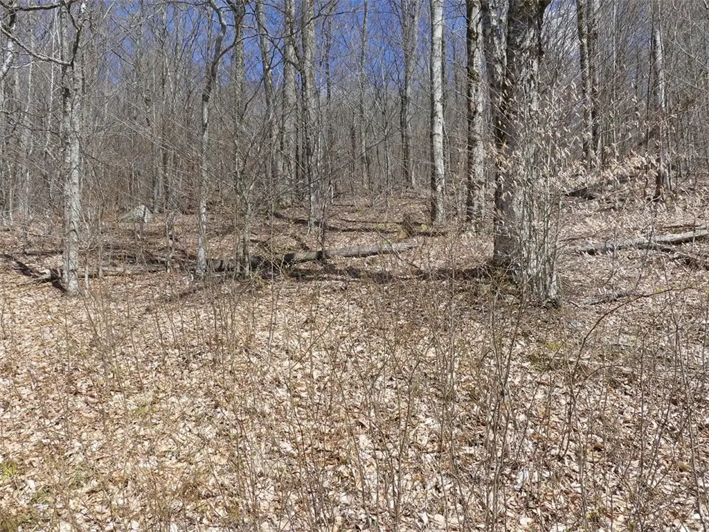 Lot 11.2 Alpine Drive, Andes, NY 13731 - #1