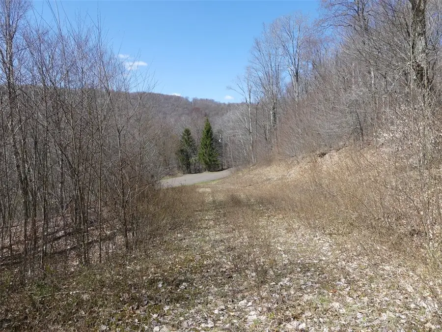 Lot 11.2 Alpine Drive, Andes, NY 13731 - #2