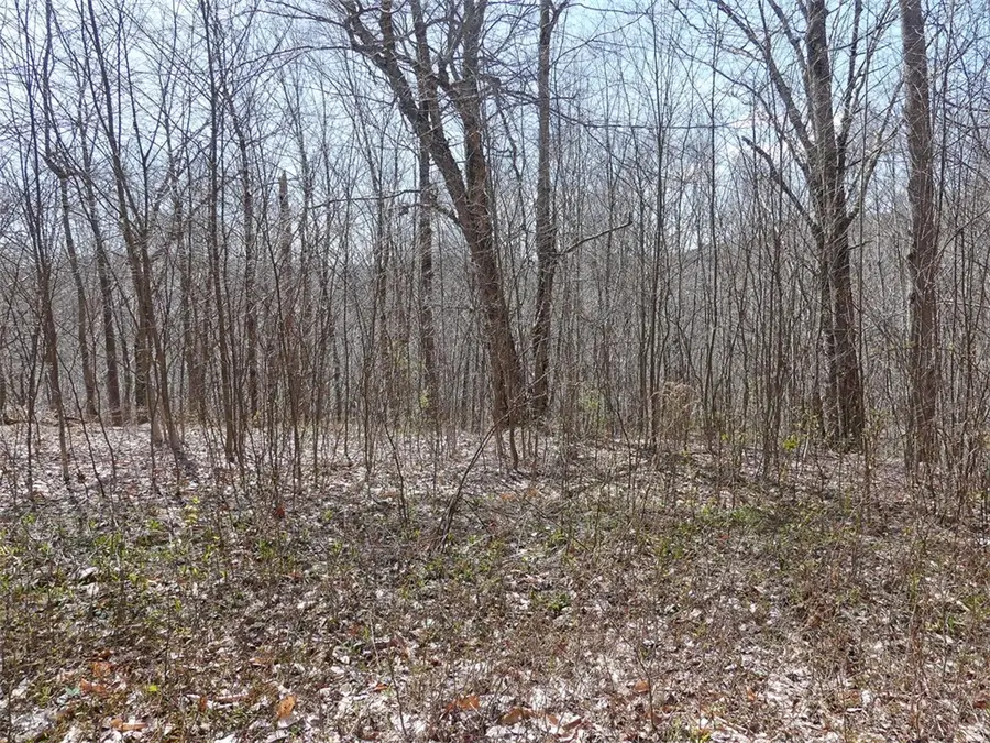 Lot 11.2 Alpine Drive, Andes, NY 13731 - #3
