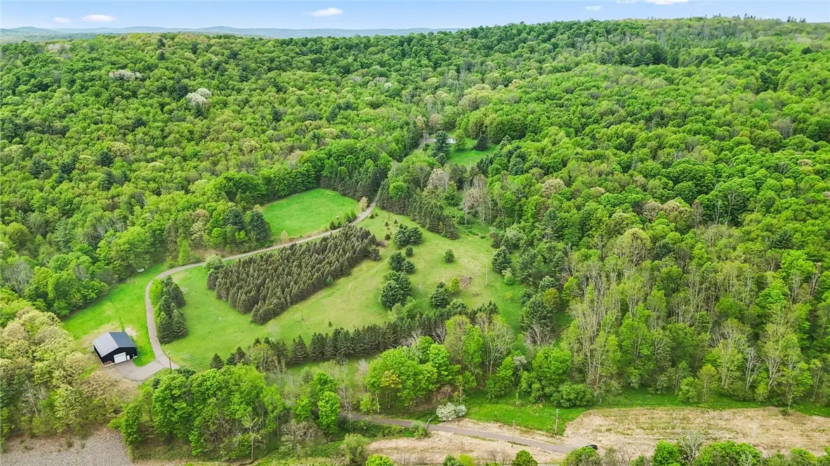 828 State Route 79, Richford, NY 13835 - #1