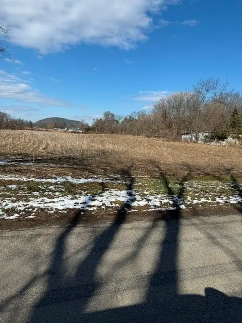 22 Brooks St, Lot A, Spencer, NY 14883 - #2