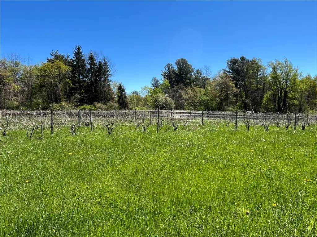 Chimney Heights Boulevard, Wolcott, NY 14590 - #1