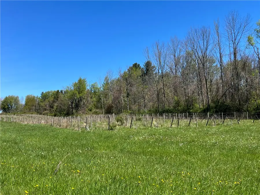 Chimney Heights Boulevard, Wolcott, NY 14590 - #3