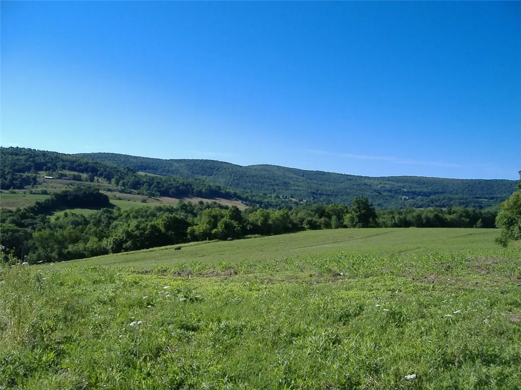 Ploss Road, Richmondville, NY 12149 - #1