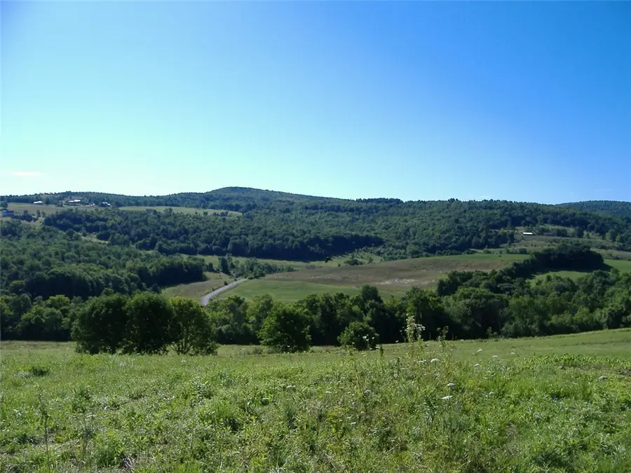 Ploss Road, Richmondville, NY 12149 - #2