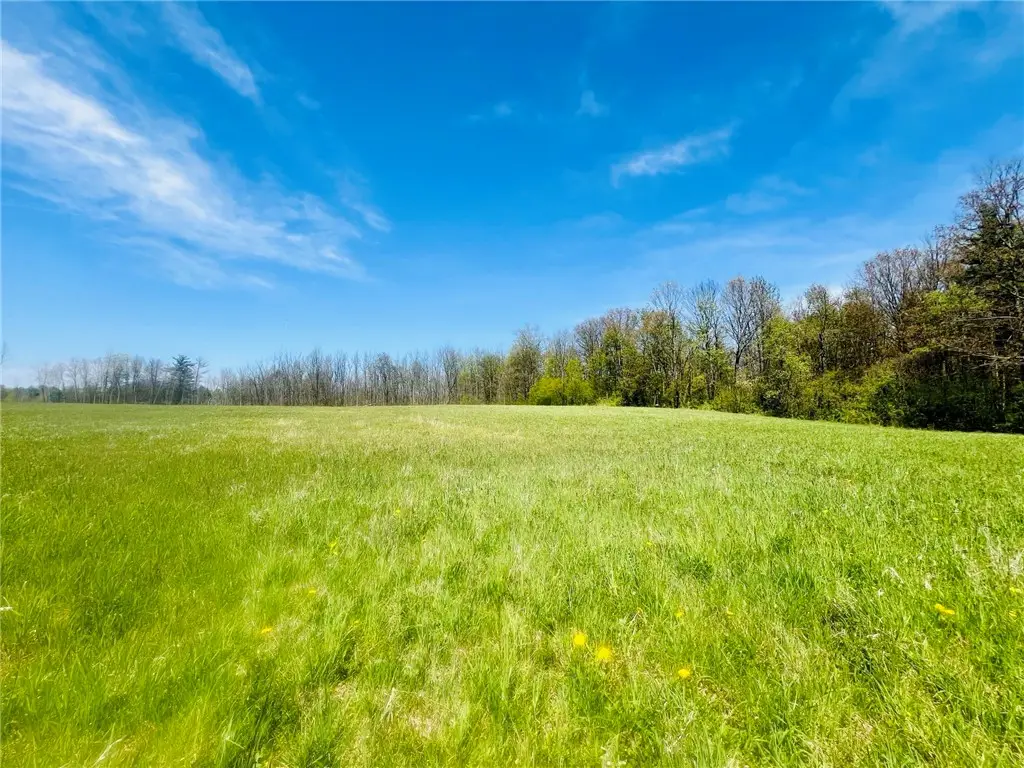0 Brown Road, Groton, NY 13073 - #1