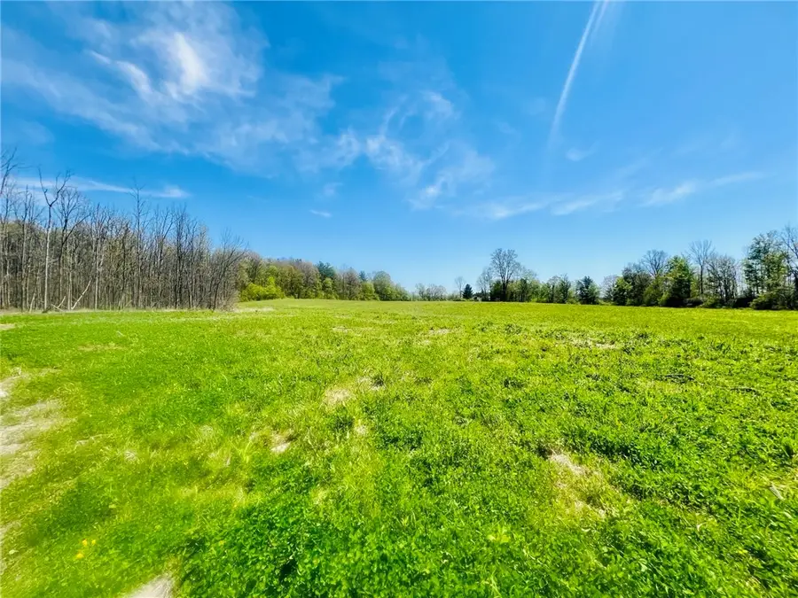 0 Brown Road, Groton, NY 13073 - #3