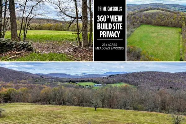 Lot 3 Brownell Road, Bloomville, NY 13739