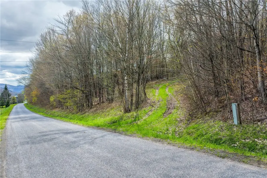 Lot 3 Brownell Road, Bloomville, NY 13739 - #2
