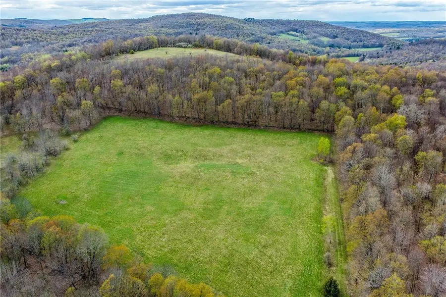 Lot 3 Brownell Road, Bloomville, NY 13739 - #3
