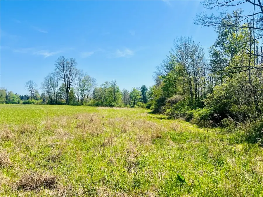 00 Brown Road, Groton, NY 13073 - #2