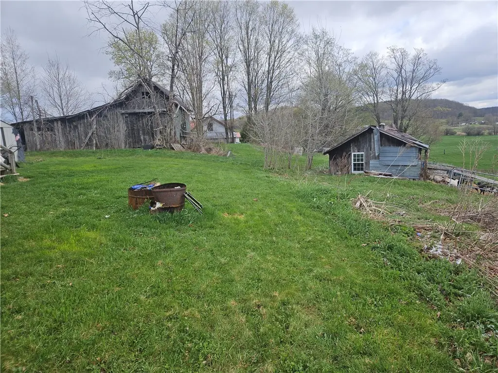 Dutch Valley Road, Edmeston, NY 13335 - #1